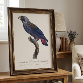 チャコウインコ (Pionus fuscus) フォトプリント