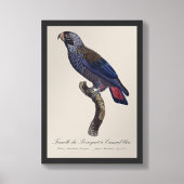 チャコウインコ (Pionus fuscus) フォトプリント