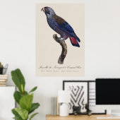 チャコウインコ (Pionus fuscus) ポスター (ホームオフィス)