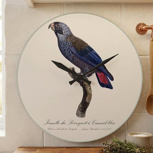 チャコウインコ (Pionus fuscus) ラージ壁時計