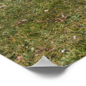 チャズ1 ポスター (角)