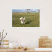 チャズ1 ポスター (キッチン)