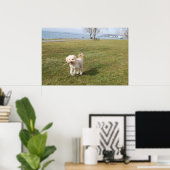 チャズ1 ポスター (ホームオフィス)