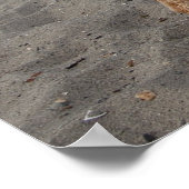 チャズ4 ポスター (角)