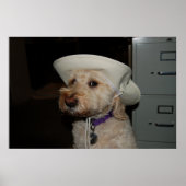 チャズ6 ポスター (正面)