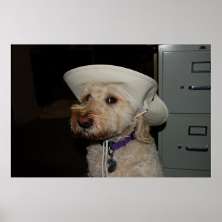 チャズ6 ポスター