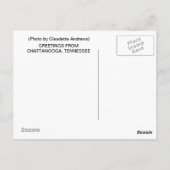 チャタヌーガ、テネシー州からの挨拶 ポストカード (裏面)