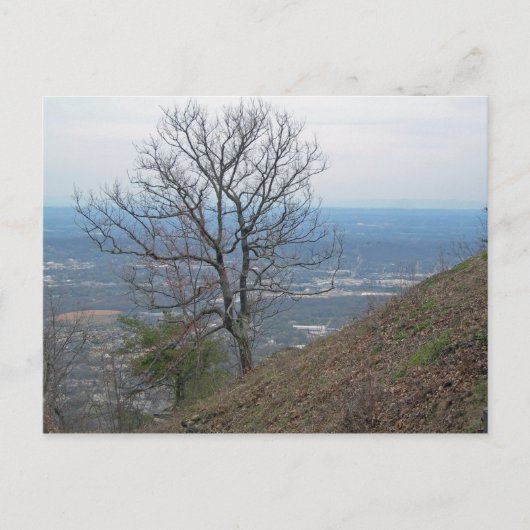 チャタヌーガ、テネシー001 ポストカード (正面)