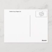 チャタノオガ水族館 ポストカード (裏面)