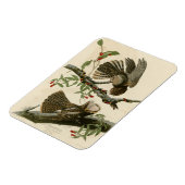 チャックウィルの未亡人 – Audubon's Birds of America マグネット (左側)