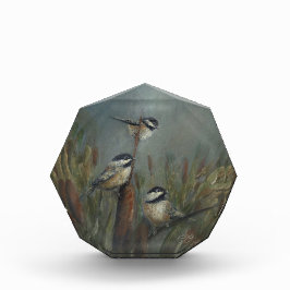 チャックウッド オクタゴナル フォトブロック