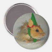 チャック・ザ・小妖精や小人 マグネット (正面/裏面)