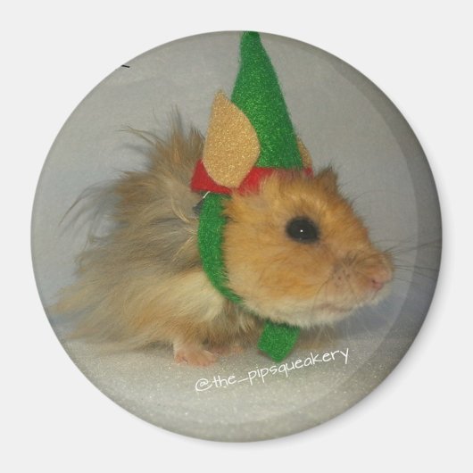 チャック・ザ・小妖精や小人 マグネット (正面)