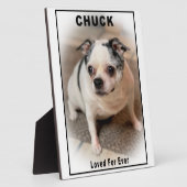 チャック フォトプラーク (側面)