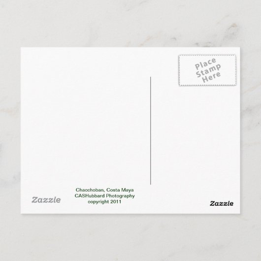 チャッチョンピラミッド ポストカード (裏面)