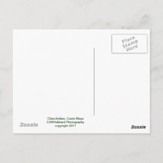 チャッチョンピラミッド ポストカード