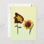 チャットを持つ2つのデイリー ポストカード (正面/裏面)