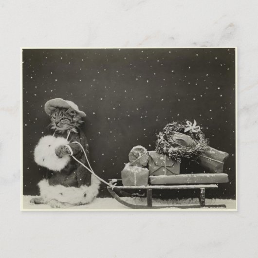 チャットトレーニュノエル ポストカード (正面)