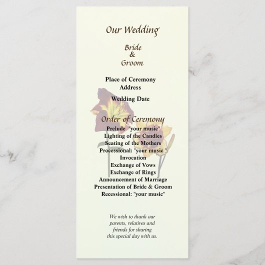 チャット結婚式 プログラムを持つ2つのデイリー プログラム (正面)