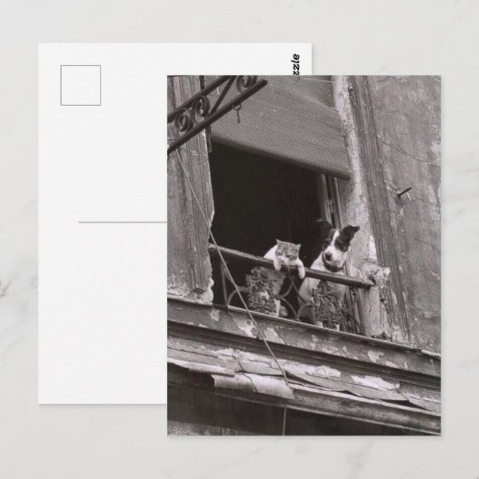 チャットet chen - Robert Doisneau ポストカード (正面/裏面)