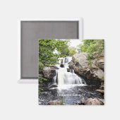 チャップマン秋、イーストハダム、CT、 マグネット (正面/裏面)