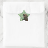 チャティ海ライオンのステッカー 星シール (バッグ)