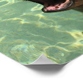 チャティ・シー・ライオンのポスター ポスター (角)