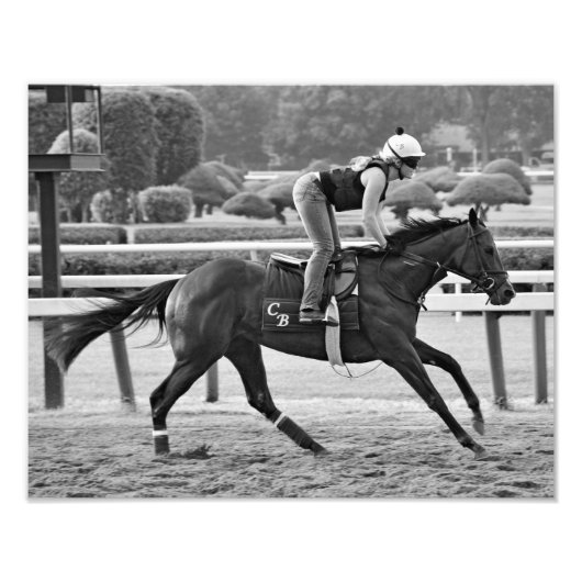 チャドブラウンスピードボール フォトプリント            (正面)