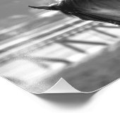 チャドブラウントレーニング フォトプリント            (角)