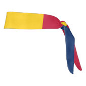 チャド国エレガント族国 タイヘッドバンド (回転90)