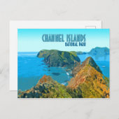 チャネル諸島の国立公園カリフォルニアヴィンテージ ポストカード (正面/裏面)