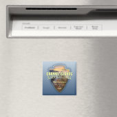 チャネル諸島NP (矢印) マグネット (インサイチュ (食洗機))