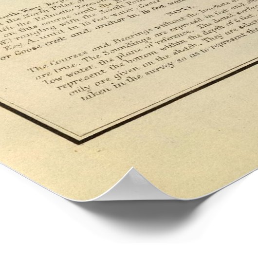 チャネルIV、CedarKeys、Fla ポスター (角)