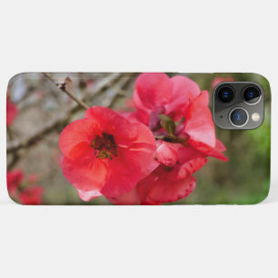チャノメレス・スペシオサ iPhone 11 PRO MAXケース