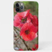 チャノメレス・スペシオサ Case-Mate iPhoneケース (裏面)