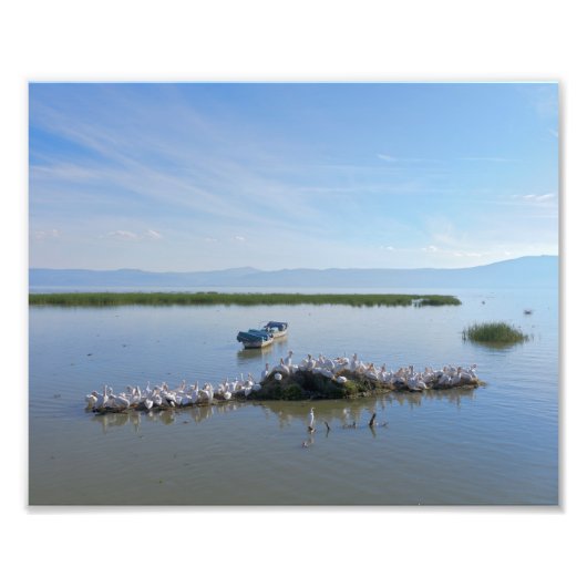 チャパラペリカン湖 フォトプリント            (正面)