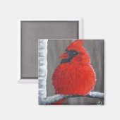 チャビー(鳥)ショウジョウコウカンチョウ – マグネット (正面/裏面)