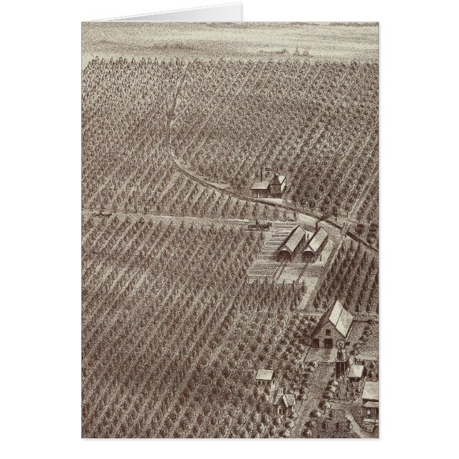 チャピンフルーツランチ (正面)