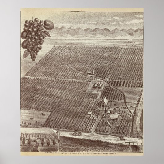 チャピンフルーツランチ ポスター (正面)