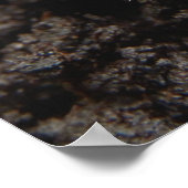 チャファー幼生ポスター ポスター (角)