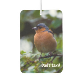 チャフインチバードカーエアコン カーエアーフレッシュナー