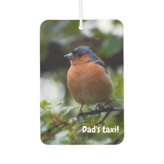 チャフインチバードカーエアコン カーエアーフレッシュナー (正面)