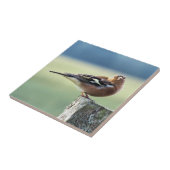 チャフインチ タイル (側面)