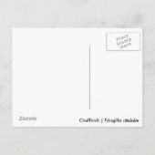 チャフインチ ポストカード (裏面)