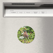 チャフインチ マグネット (インサイチュ (食洗機))