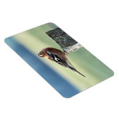 チャフインチ マグネット (右側)