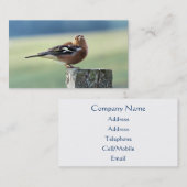 チャフインチ 名刺 (正面/裏面)