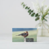 チャフインチ 名刺 (スタンド正面)