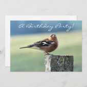 チャフインチ 招待状 (正面/裏面)