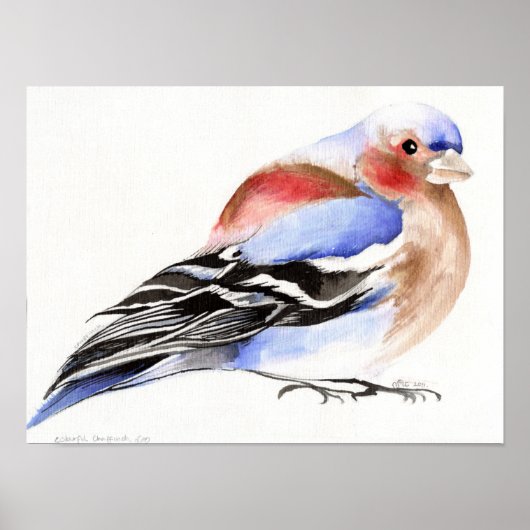 チャフカラフルインチ2011 ポスター (正面)